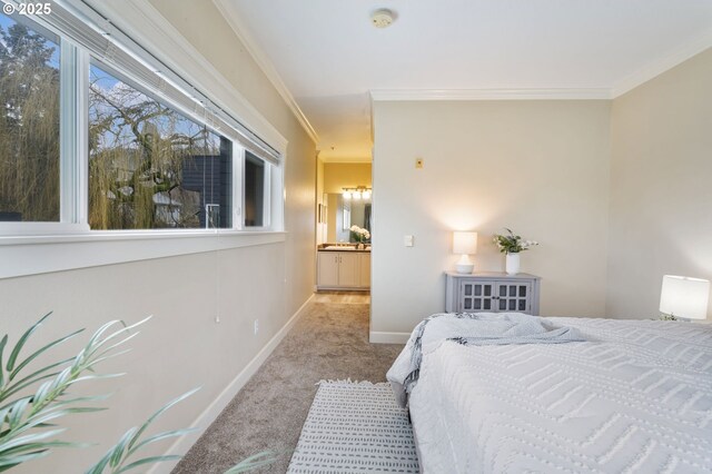 carpeted empty room with plenty of natural light and crown molding