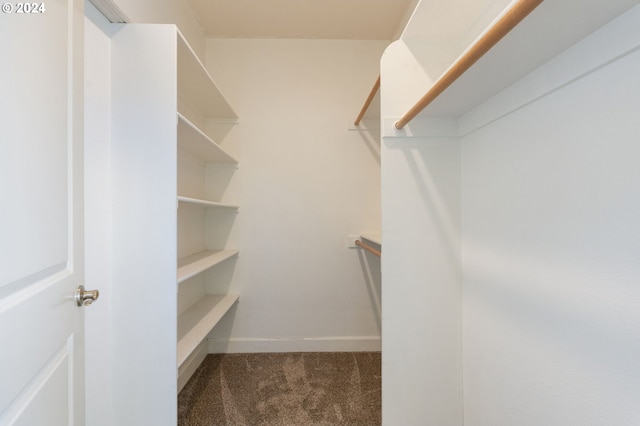 spacious closet featuring dark colored carpet