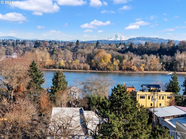 property view of water featuring a mountain view