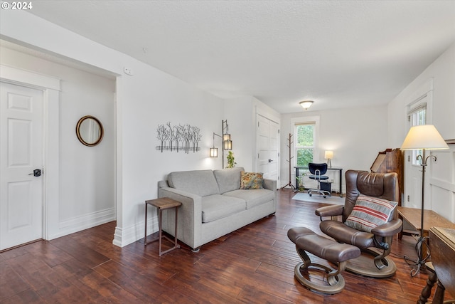 living room featuring dark wood-type flooring