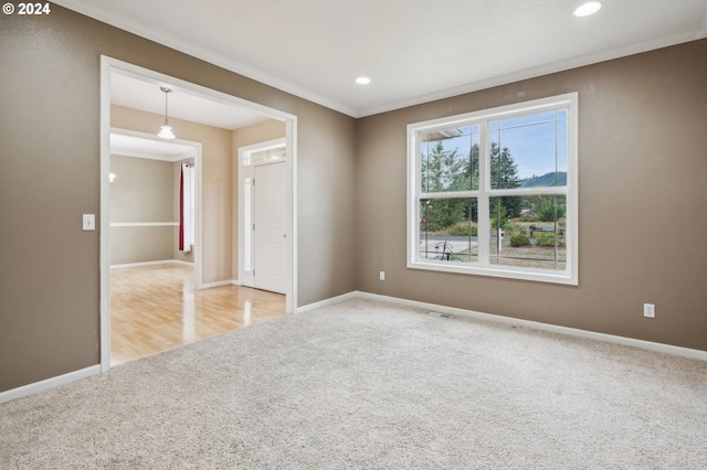 empty room with ornamental molding and carpet