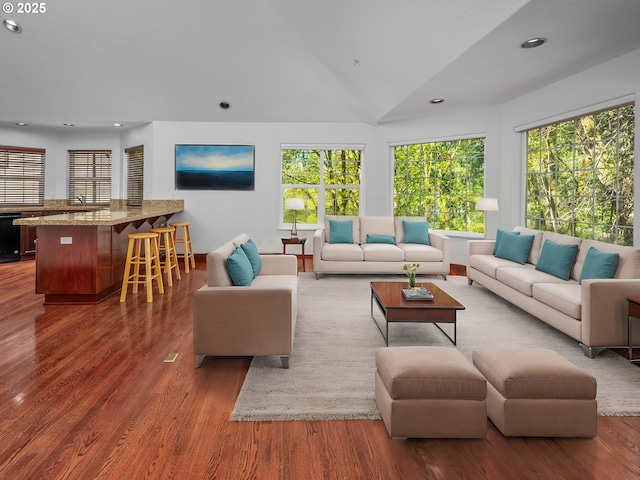 living room featuring dark hardwood / wood-style floors and vaulted ceiling