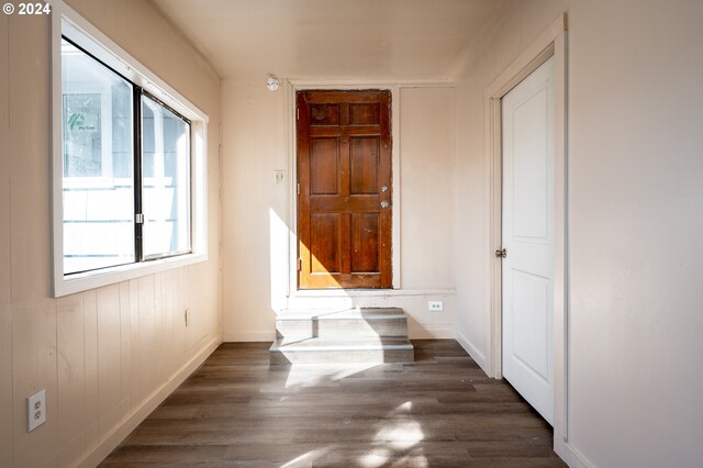 interior space featuring dark hardwood / wood-style floors