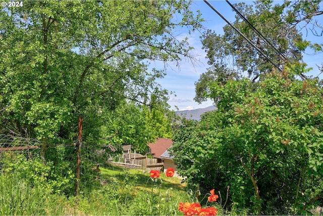 view of yard with a mountain view