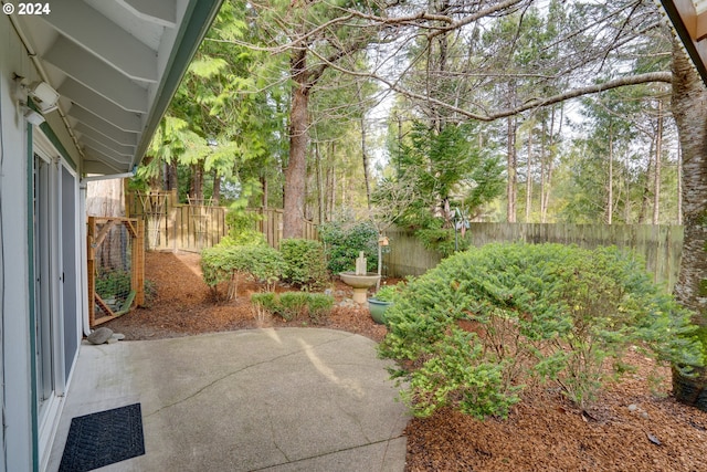 view of yard with a patio