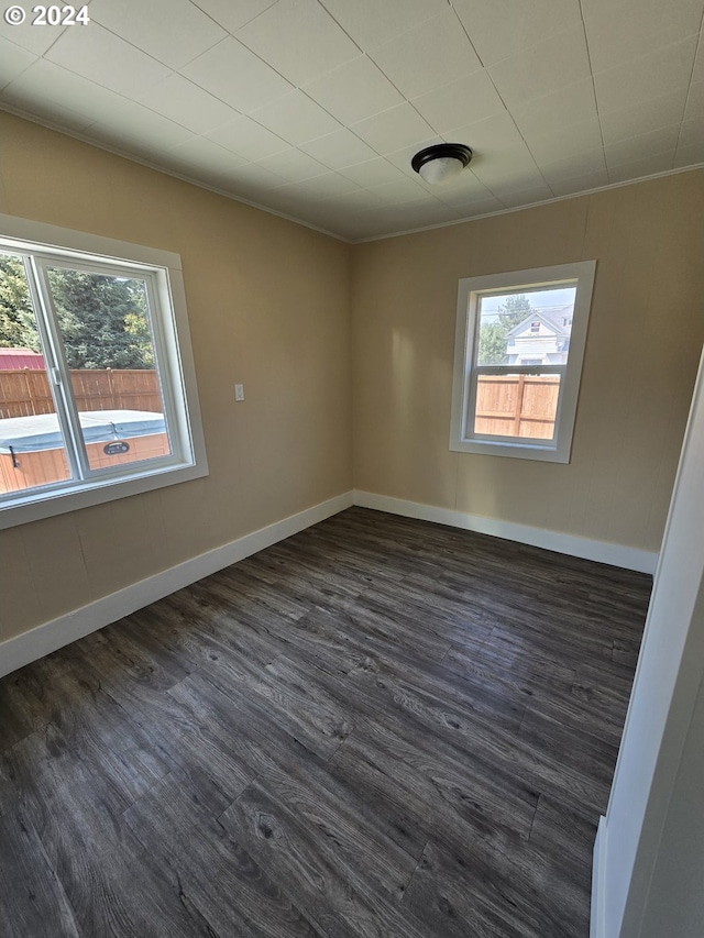 empty room featuring plenty of natural light and dark hardwood / wood-style flooring