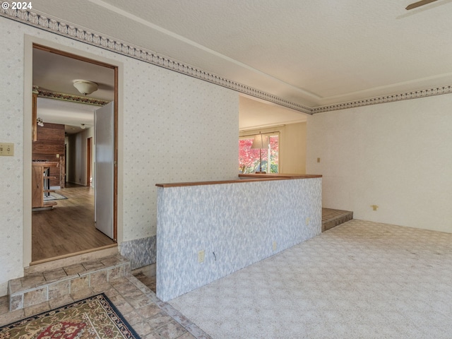 unfurnished room with light colored carpet