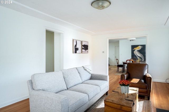 living room featuring hardwood / wood-style floors