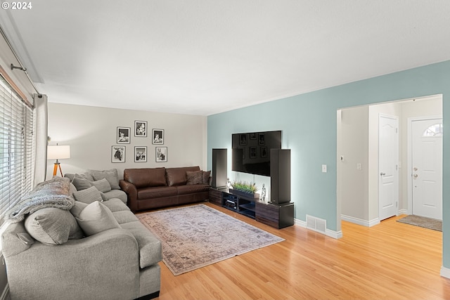 living room with wood-type flooring