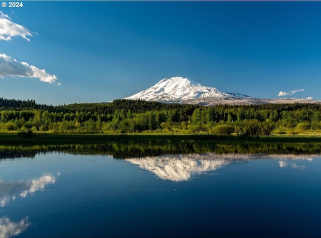 property view of water with a mountain view