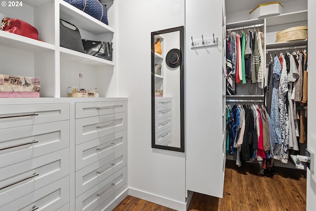 walk in closet with dark hardwood / wood-style floors