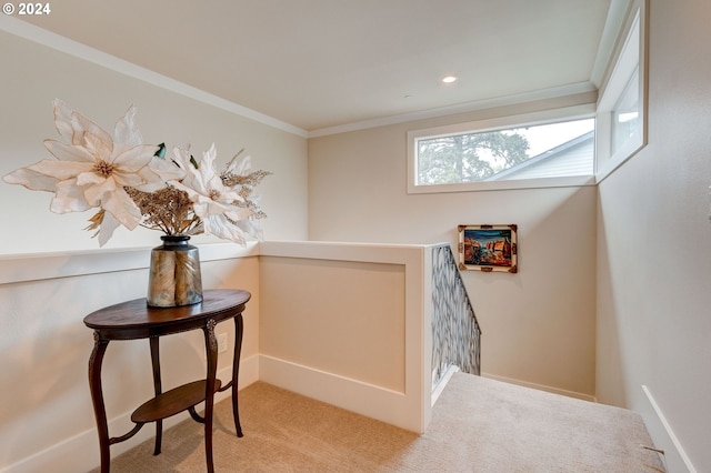 interior space with crown molding and carpet floors