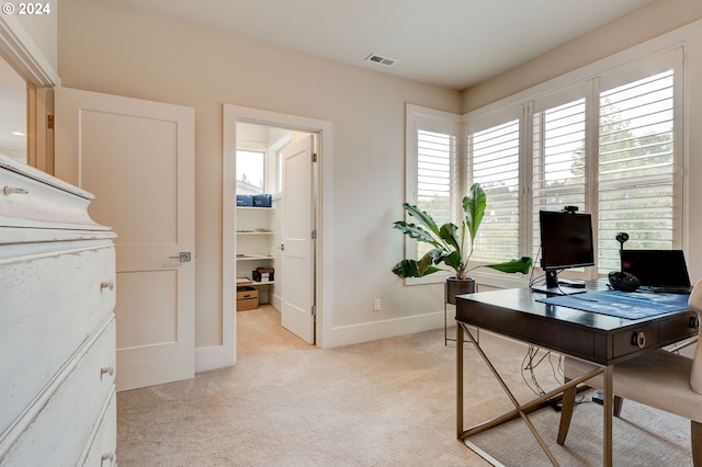 carpeted office featuring plenty of natural light