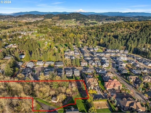 aerial view with a mountain view