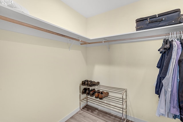 walk in closet with light hardwood / wood-style floors