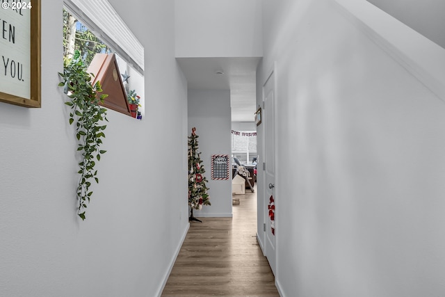 hall featuring hardwood / wood-style flooring