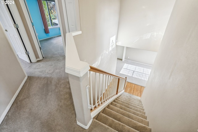 stairs with carpet flooring