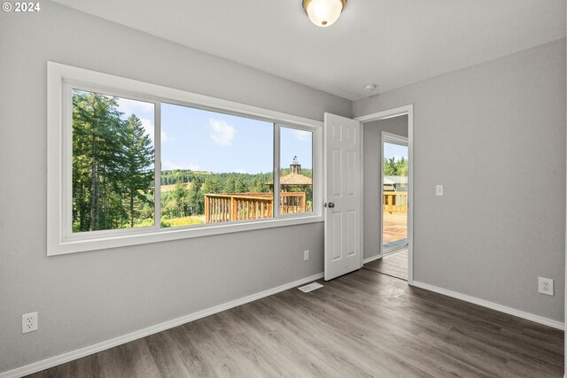 spare room with a wealth of natural light and wood-type flooring