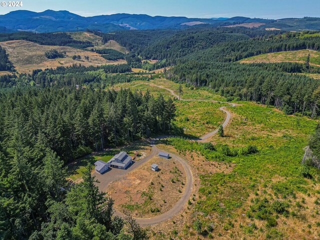 drone / aerial view featuring a mountain view