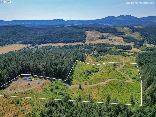 bird's eye view with a mountain view