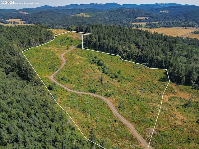 bird's eye view with a mountain view