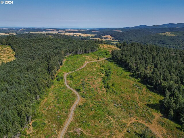 aerial view with a mountain view