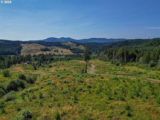 property view of mountains