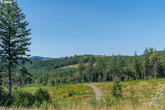 property view of mountains