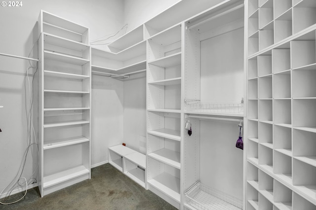 spacious closet with carpet floors