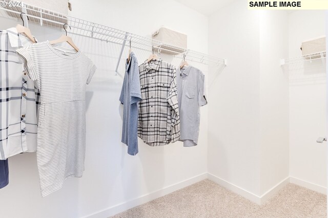 walk in closet featuring carpet floors