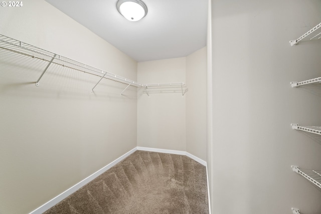 spacious closet with carpet flooring