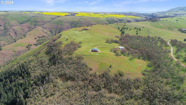 bird's eye view with a rural view