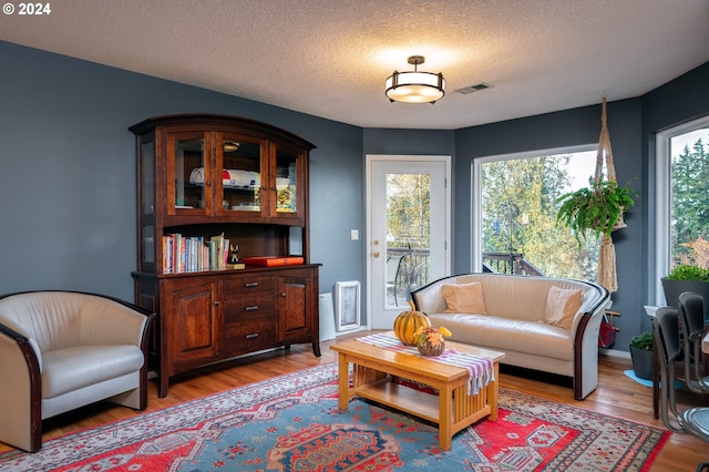 living room featuring a healthy amount of sunlight, light hardwood / wood-style floors, and a textured ceiling