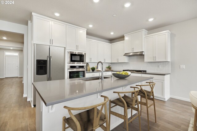 kitchen with stainless steel appliances, light wood finished floors, a sink, and under cabinet range hood