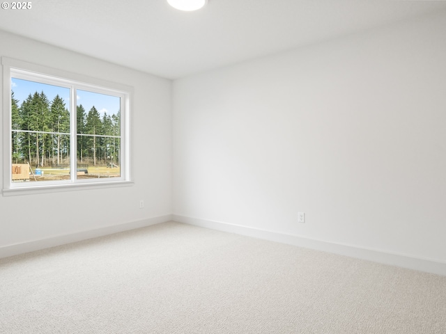 spare room featuring carpet flooring