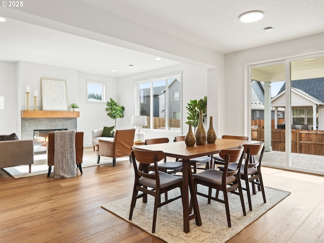 dining room with light hardwood / wood-style floors