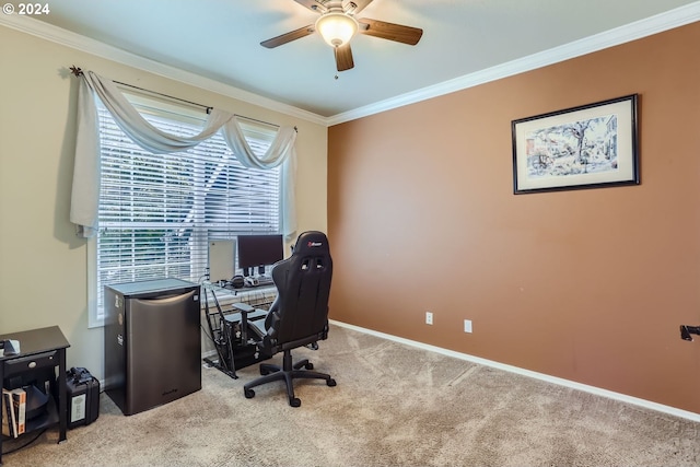 carpeted office featuring ceiling fan and ornamental molding