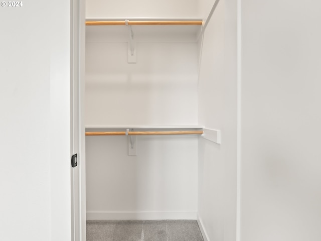 spacious closet with carpet flooring