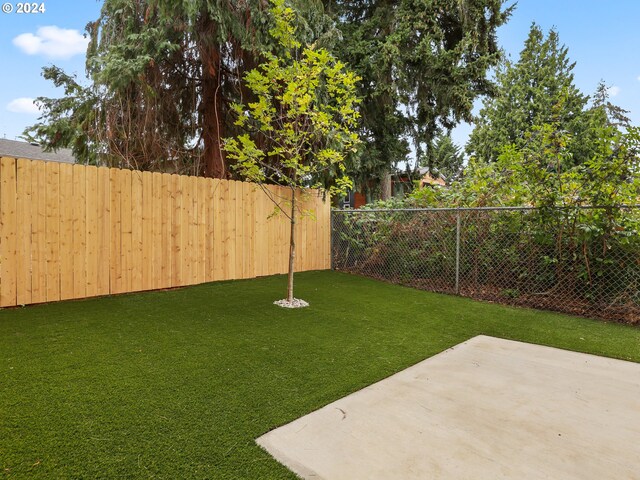 view of yard featuring a patio