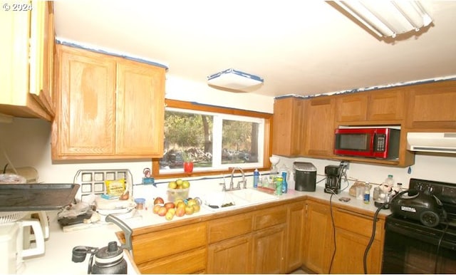 kitchen featuring sink, electric range, and range hood