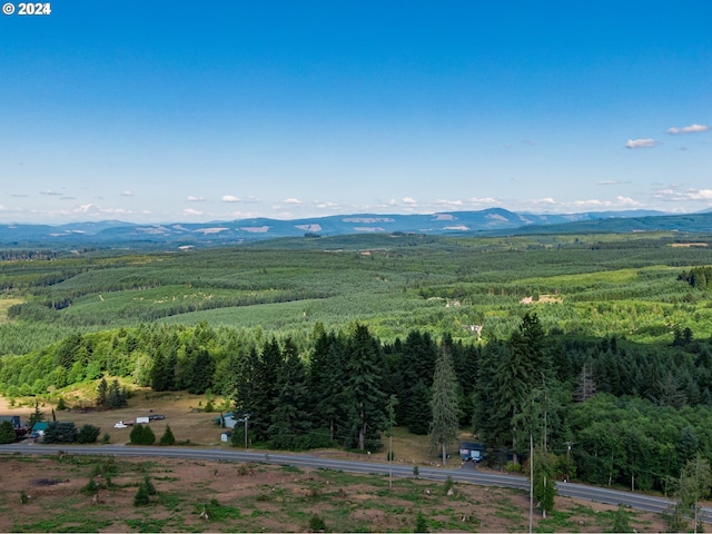 Listing photo 3 for 0 Silver Lake Rd Unit 5, Castle Rock WA 98611