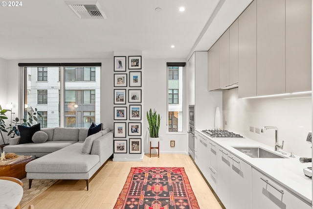 kitchen with appliances with stainless steel finishes, light wood-type flooring, and sink