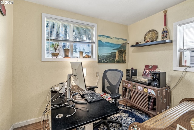 office area featuring a wealth of natural light and wood-type flooring