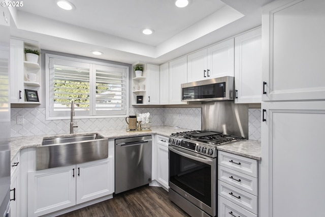 kitchen with white cabinetry, sink, a tray ceiling, and appliances with stainless steel finishes