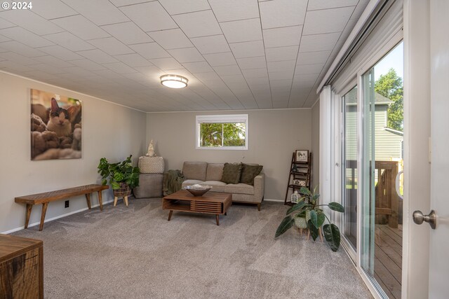 carpeted living room featuring a healthy amount of sunlight