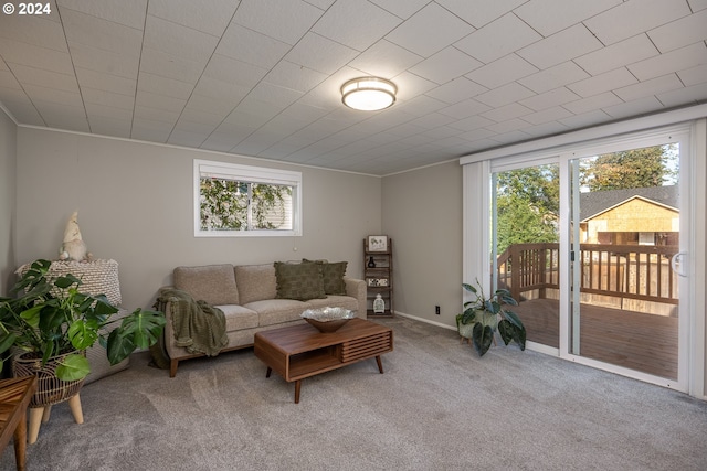 carpeted living room featuring crown molding and a wealth of natural light