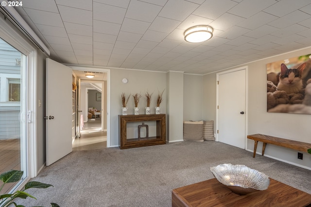 unfurnished living room with carpet