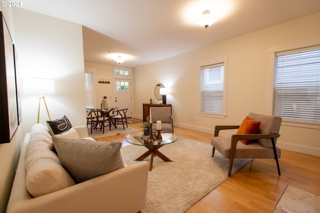 living room with light hardwood / wood-style floors