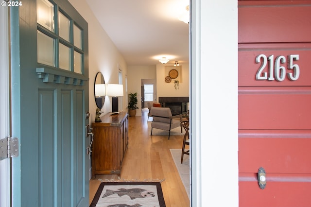 foyer with light wood-type flooring