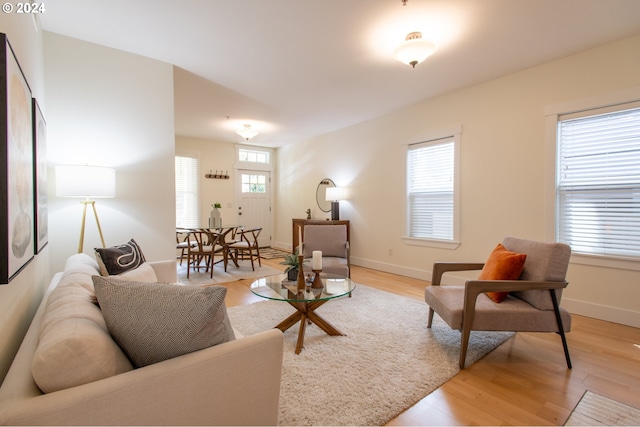 living room with light wood-type flooring